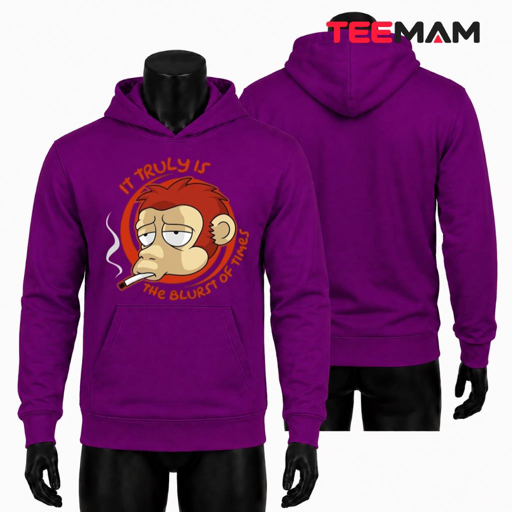 It Truly Is The Blurst Of Times Hoodie It Truly Is The Blurst Of Times Hoodie
