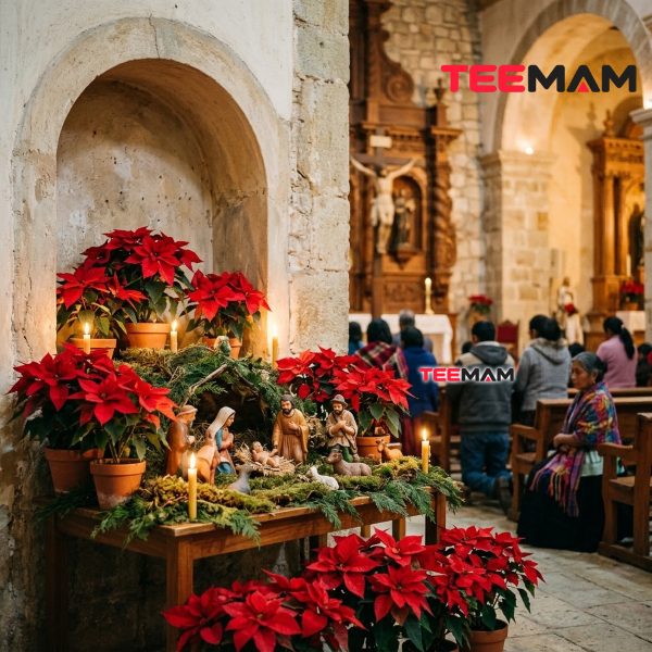 The Poinsettia: How a Winter Flower Became a Christmas Icon 15 Poinsettias In Traditional Mexican Christmas Celebration